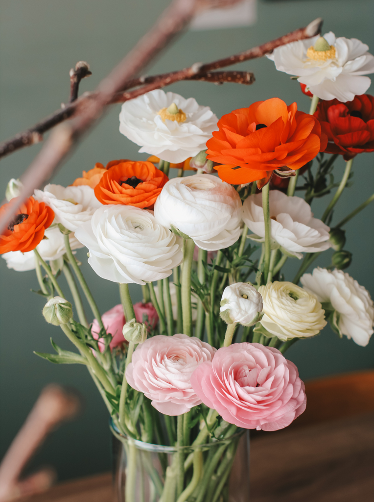 July Flowers 2025: Rainy Season Blooms from April Flora