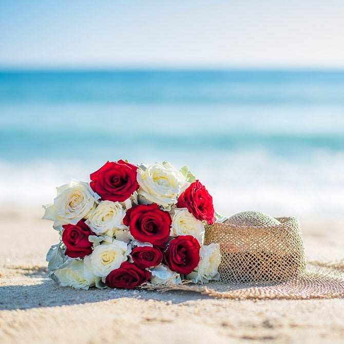 APRIL FLORA NOW OPERATING IN PHUKET - GROWING TOWARDS THE SUN.