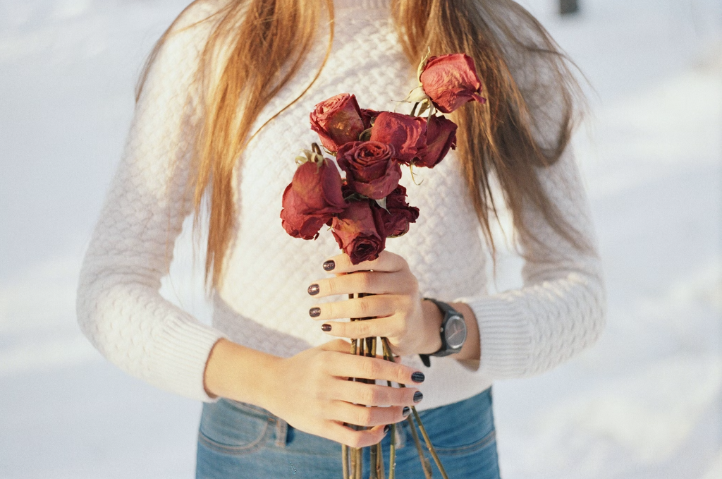 5 Apology Flowers and Their Symbolic Meanings: A Guide to Mending Hearts