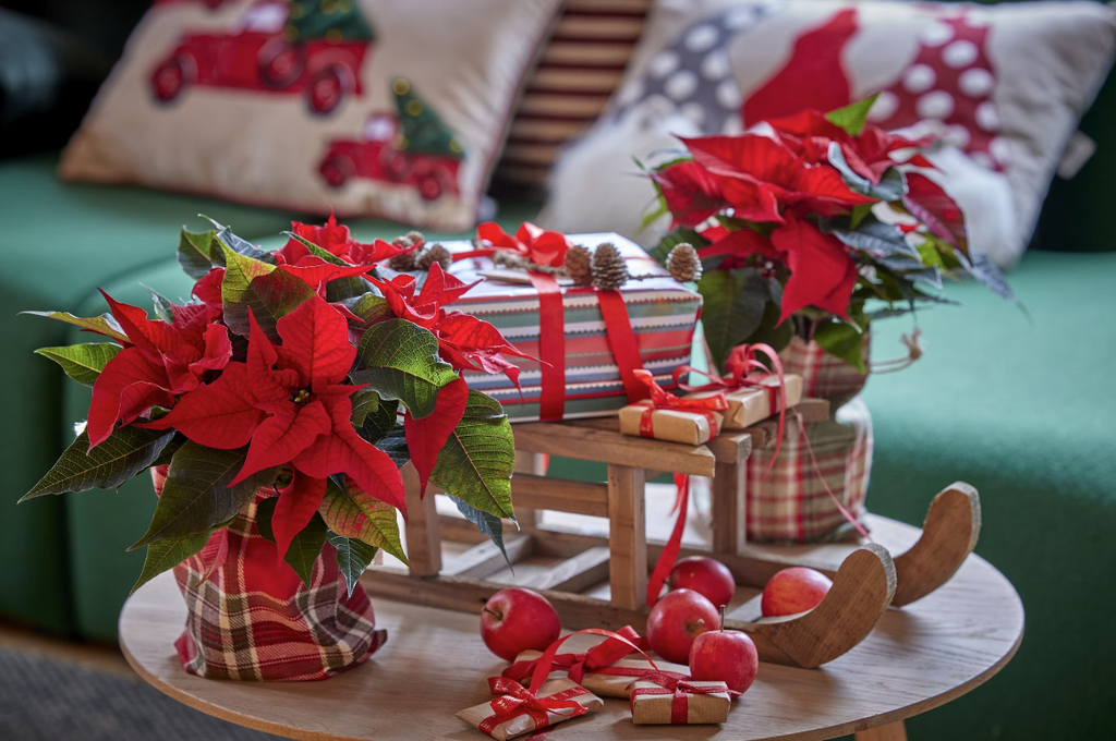 Heartfelt Christmas Card Messages to Complement Your Festive Bouquet