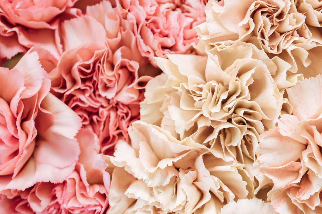 4 Special Flowers for Important Wedding Milestones