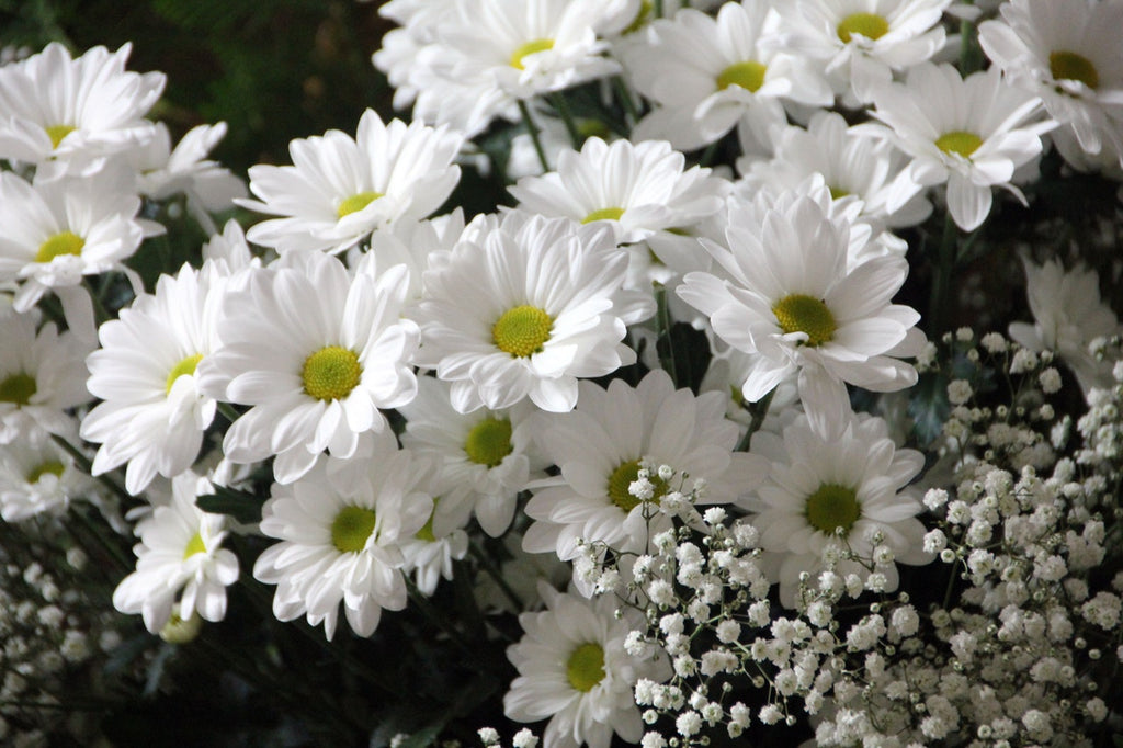 Choosing the Right Get Well Soon Flowers