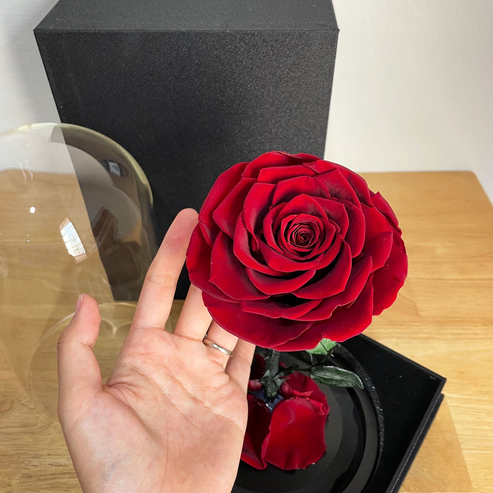 "Only You" Romantic Preserved Red Rose (H 22cm x W 15cm)