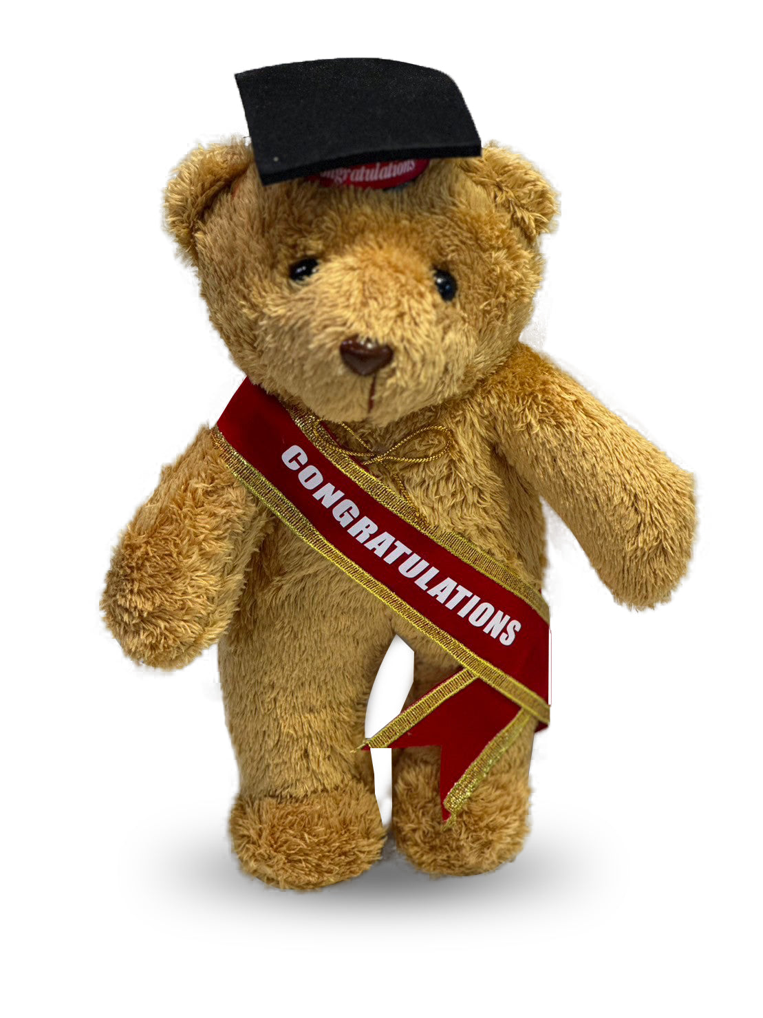 Congratulations Teddy Bear (H 30 CM)