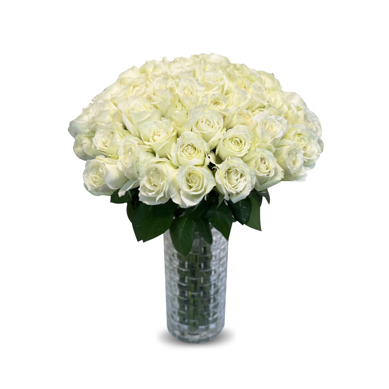 Elegant White Roses In Flower vase