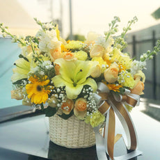 In the Mood for Sunshine